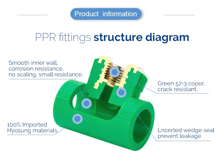 Wholesale Ifan PPR Pipe Germany Technology DIN 8077/8078 PPR Pipe Fittings